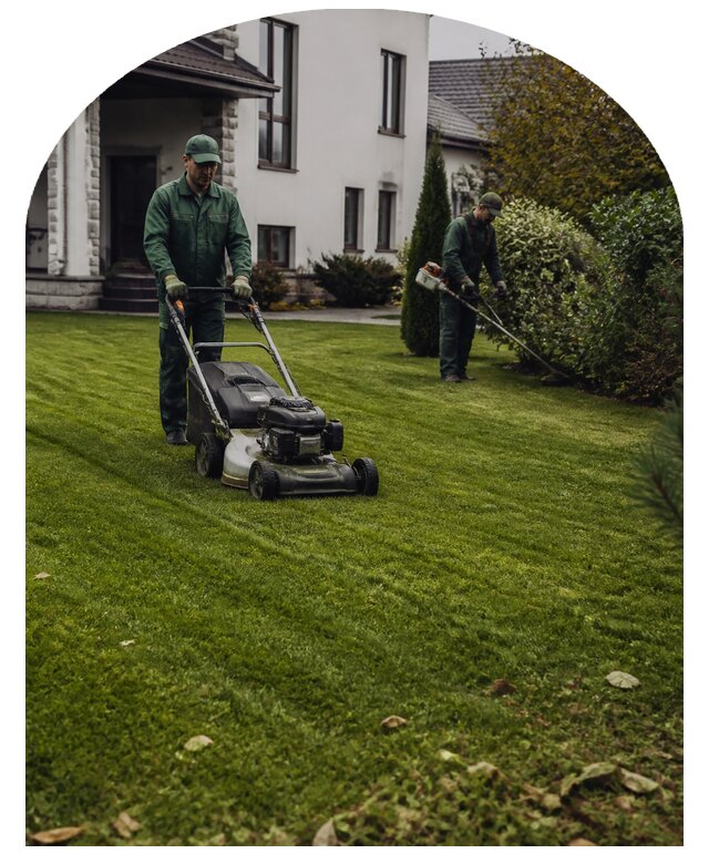 Профессиональный уход за газоном на участке в Гатчине